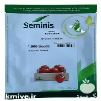 بذر گوجه فرنگی 4129 در گروه خرید و فروش بذر گوجه در یکمیوه