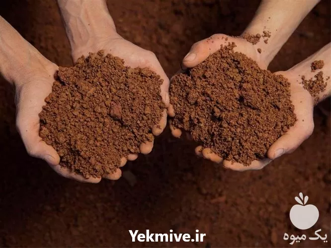 خرید پرلیت کشاورزی قیمت خرید عمده در تهران در گروه خرید و فروش انواع کود کشاورزی در یکمیوه -عکس1