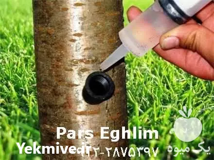 تزریق مستقیم کود کامل به تنه در تهران در گروه خرید و فروش کود کامل در یکمیوه -عکس1