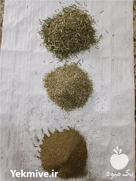 خرید پوشال رازیانه جهت عرق گیری در تهران در گروه خوراک شیلات و آبزیان در یکمیوه -عکس1