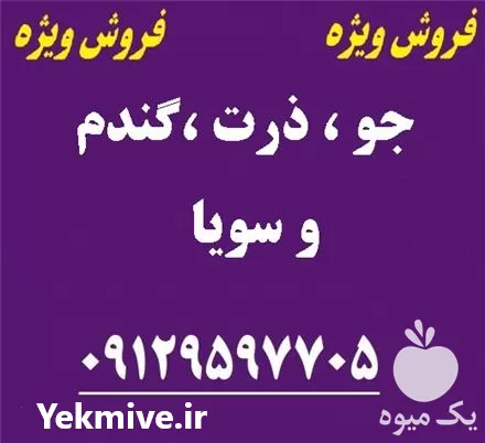 فروش جو در تهران در گروه خرید و فروش گندم و جو در یکمیوه -عکس1