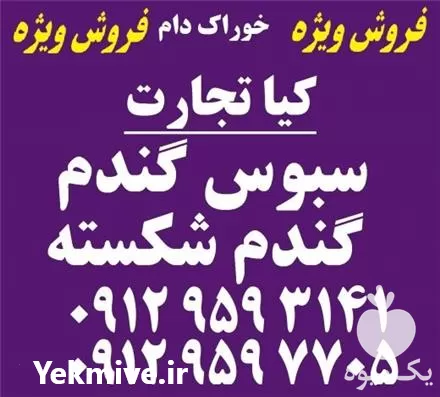 فروش سبوس و گندم شکسته در تهران در گروه خرید و فروش گندم و جو در یکمیوه -عکس1
