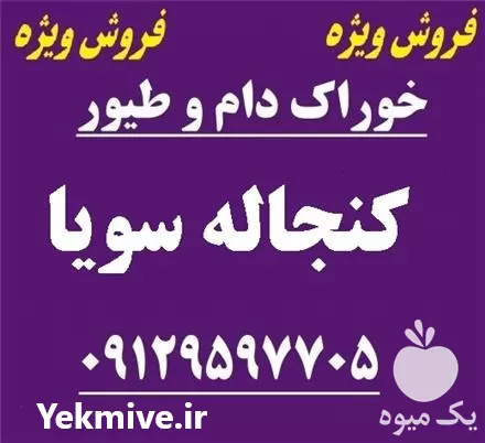 قیمت خرید کنجاله سویا در تهران در گروه خرید و فروش سویا در یکمیوه -عکس1
