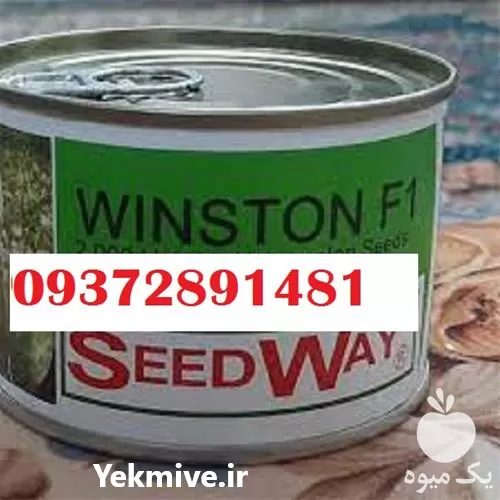 فروش بذر هندوانه وینستون در گروه خرید و فروش بذر هندوانه در یکمیوه -عکس1