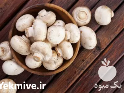 آموزش پرورش قارچ خوراکی دکمه ای در تهران در گروه دوره آموزش کشاورزی در یکمیوه -عکس1