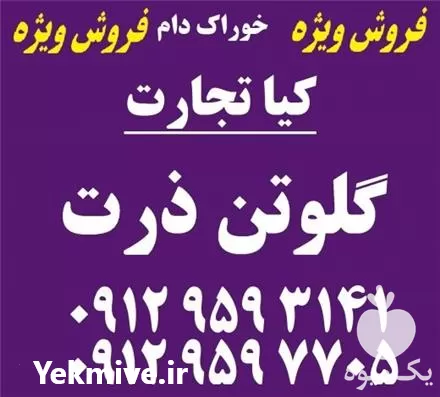 فروش گلوتن ذرت در تهران در گروه خوراک دام و طیور در یکمیوه -عکس1