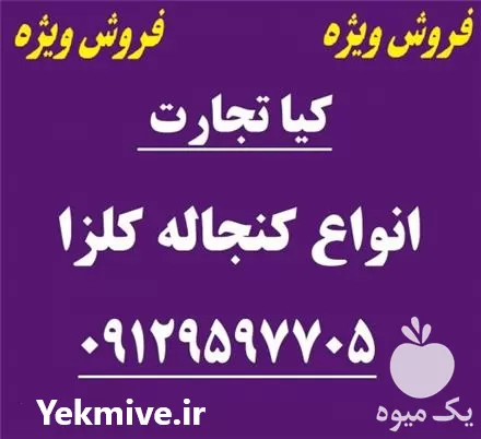 قیمت خرید کنجاله کلزا در گروه خوراک دام و طیور در یکمیوه -عکس1