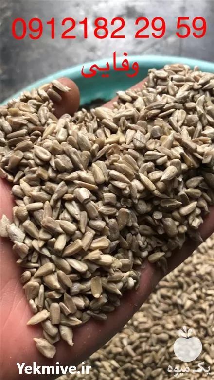 قیمت خرید مغز تخمه آفتابگردان در تهران در گروه خرید و فروش انواع تخمه در یکمیوه -عکس1