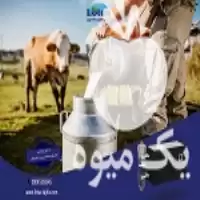 خرید ازن ژنراتور در صنعت دام در رشت در گروه تجهیزات دامداری در یکمیوه