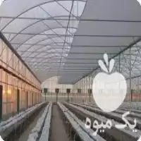 خرید کلیه قطعات و اتصالات گلخانه در تهران در گروه خرید و فروش انواع پوشش ها در یکمیوه