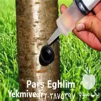 تزریق مستقیم کود کامل به تنه در تهران در گروه خرید و فروش کود کامل در یکمیوه