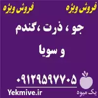 فروش جو در تهران در گروه خرید و فروش گندم و جو در یکمیوه