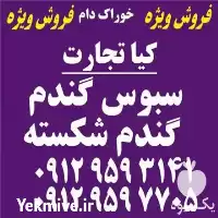 فروش سبوس و گندم شکسته در تهران در گروه خرید و فروش گندم و جو در یکمیوه
