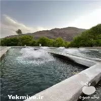 خرید عمده تک انواع بچه ماهی در مشهد در گروه خرید و فروش انواع ماهی در یکمیوه