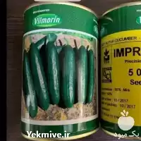 قیمت خرید سفارش بذر خیار ایمپرس در خراسان جنوبی در گروه خرید و فروش بذر خیار در یکمیوه