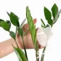 قیمت خرید آموزشگاه کشاورزی دامپروری شیلات در تهران در گروه دوره آموزش کشاورزی در یکمیوه