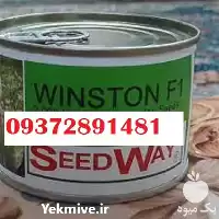 فروش بذر هندوانه وینستون در گروه خرید و فروش بذر هندوانه در یکمیوه