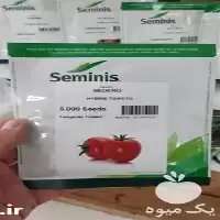 خرید توزیع پخش بذر گوجه فرنگی در کرمان  در گروه خرید و فروش بذر گوجه در یکمیوه