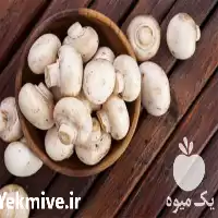 آموزش پرورش قارچ خوراکی دکمه ای در تهران در گروه دوره آموزش کشاورزی در یکمیوه