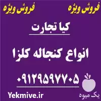 قیمت خرید کنجاله کلزا در گروه خوراک دام و طیور در یکمیوه