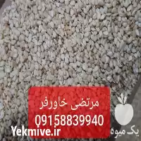 فروش کنجد افغانی و پاکستانی در مشهد در گروه خرید و فروش دانه های روغنی در یکمیوه