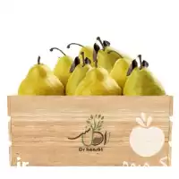 فروش نهال گلابی شاه میوه در ارومیه در گروه خرید و فروش نهال گلابی در یکمیوه