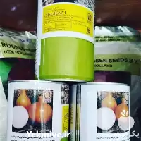 فروش بذر پیاز زرد انزا چلسی در گروه خرید و فروش بذر پیاز در یکمیوه