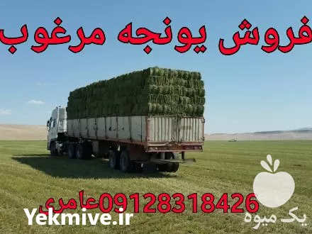 قیمت خرید یونجه و پرس کلش در تهران در گروه خوراک دام و طیور در یکمیوه -عکس1