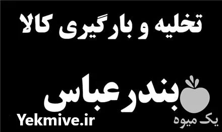 اجاره انبار در بندرعباس در گروه اجاره انبار در یکمیوه -عکس1