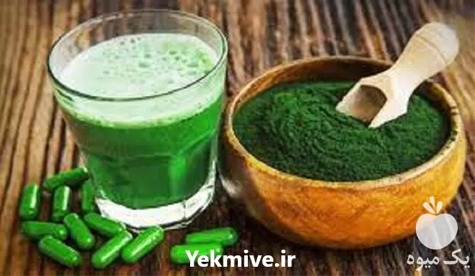 پرورش جلبک اسپیرولینا با مدرک معتبر در گروه دوره آموزش کشاورزی در یکمیوه -عکس1