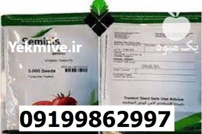 بذر کوجه فرنگی بریویو اصل در مشهد در گروه خرید و فروش گوجه فرنگی در یکمیوه -عکس1