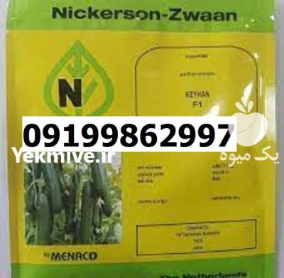 بذر خیار کیهان اصل در گروه خرید و فروش بذر خیار در یکمیوه -عکس1