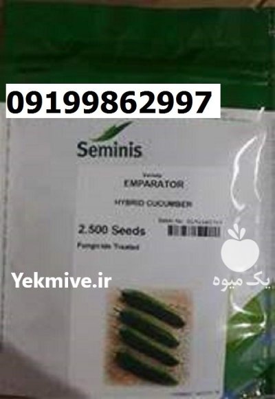 بذر خیار امپراطور اصل در کرج در گروه خرید و فروش بذر خیار در یکمیوه -عکس1