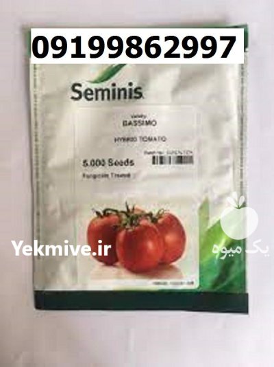 بذر گوجه فرنگی باسیمو اصل در گروه خرید و فروش بذر گوجه در یکمیوه -عکس1