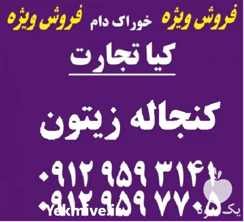 قیمت خرید کنجاله زیتون در تهران در گروه خوراک دام و طیور در یکمیوه -عکس1