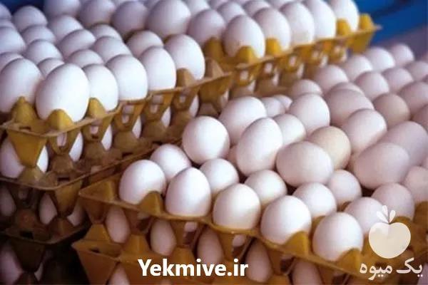 فروش تخم مرغ صادراتی ویژه عراق در گروه انواع تخم ها در یکمیوه -عکس1