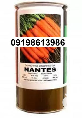 بذر هویج نانتس پرفروش اصل در خوزستان در گروه خرید و فروش بذر هویج در یکمیوه -عکس1