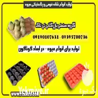 فروش شانه مقوایی میوه در قزوین در گروه انواع بسته بندی محصول در یکمیوه