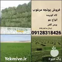 خرید یونجه مرغوب کاه انواع خوراک در سمنان در گروه خوراک دام و طیور در یکمیوه