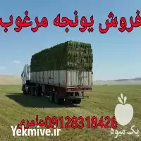 قیمت خرید یونجه و پرس کلش در تهران در گروه خوراک دام و طیور در یکمیوه