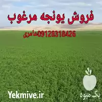 قیمت خرید خوراک اسب در گروه خوراک دام و طیور در یکمیوه