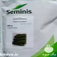 خرید پخش عمده بذر خیار دومینوس در گروه خرید و فروش بذر خیار در یکمیوه