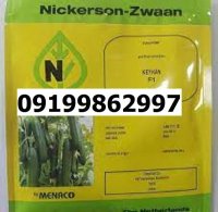 بذر خیار کیهان اصل در گروه خرید و فروش بذر خیار در یکمیوه