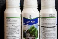 سم نماتدکش ولوم پرایم در گروه خرید و فروش انواع سم در یکمیوه