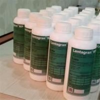 سم علفکش لنتگران در کرمانشاه در گروه خرید و فروش انواع سم در یکمیوه