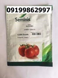 بذر گوجه فرنگی باسیمو اصل در گروه خرید و فروش بذر گوجه در یکمیوه