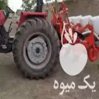 خرید کشت ذرت کدولوبیا با در چناران در گروه خرید و فروش ذرت در یکمیوه