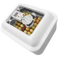 فروش انواع جوجه کشی در آذربایجان غربی در گروه تجهیزات مرغداری در یکمیوه