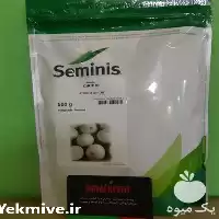 خرید بذر پیاز سفید سایروس در گروه خرید و فروش بذر پیاز در یکمیوه