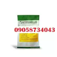 بذر پر فروش در خراسان رضوی در گروه خرید و فروش انواع بذر در یکمیوه